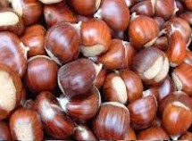 castagne