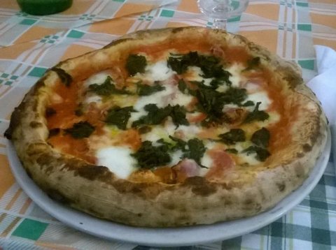 pizza nostrana pizza nostrana