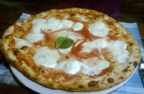 pizza margherita pizza margherita