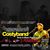 Live COSTYBAND